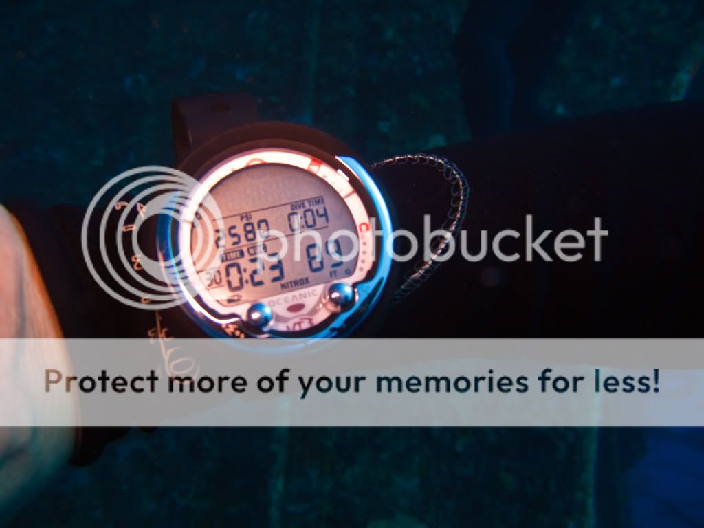 What watches do divers really wear? The Dive Watch Connection